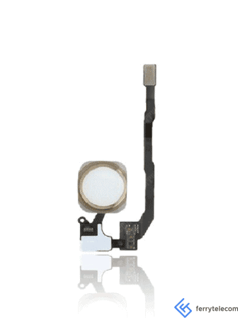 Home Button With Flex Compatible For iPhone 5S / SE (2016) (Gold)