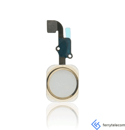 Home Button With Flex Compatible For iPhone 6S / 6S Plus (Gold)