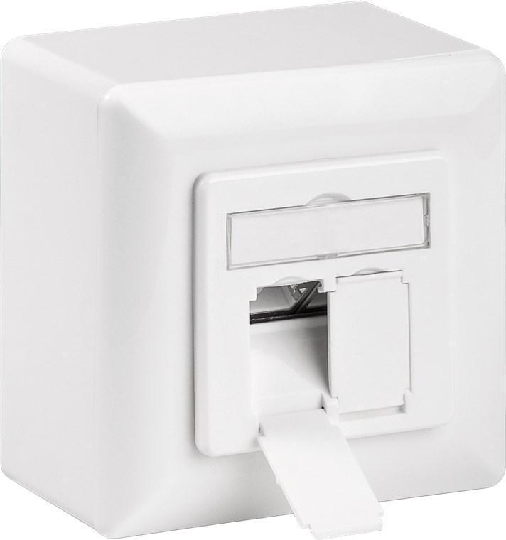 CAT 6A Universal Wall Plate Incl. On-Wall Mounting Frame